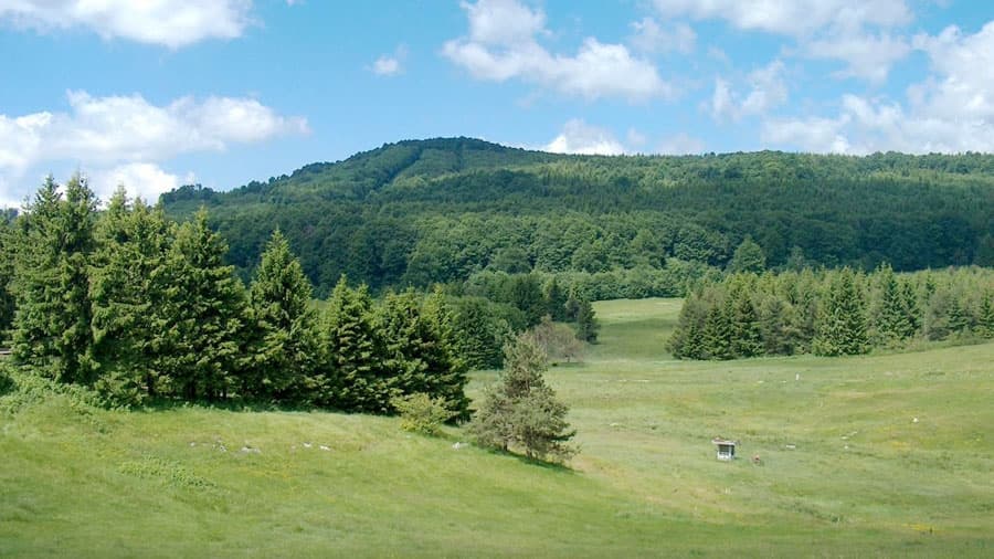 хижа Узана poster