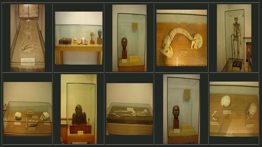 Национален антропологичен музей (ИЕМПАМ-БАН) poster