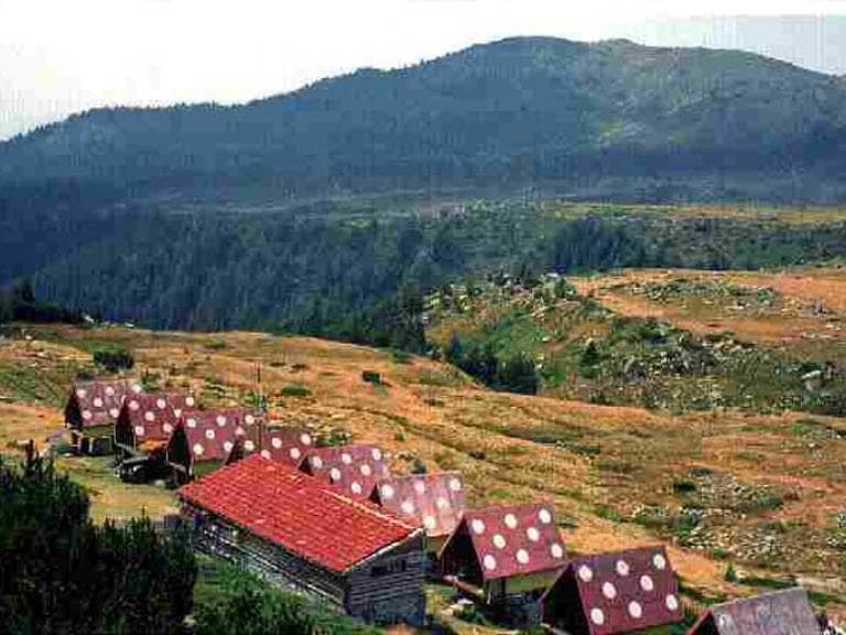 заслон Спано поле poster