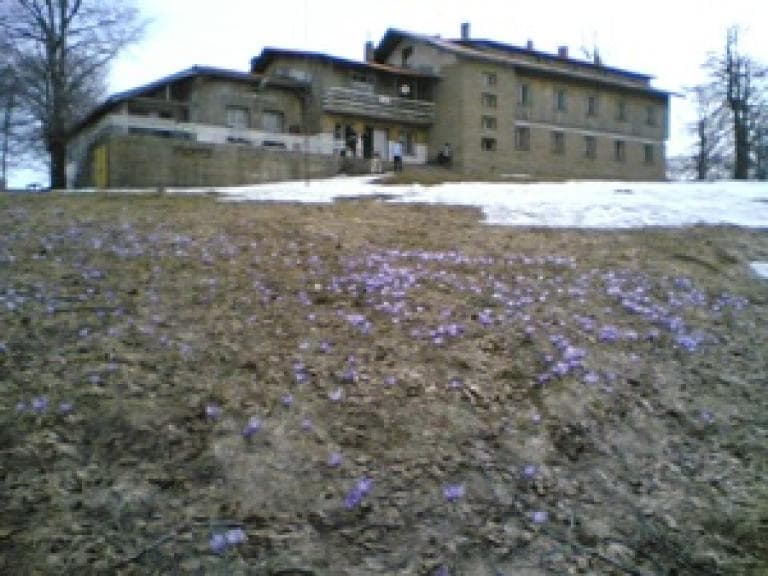 хижа Чумерна poster