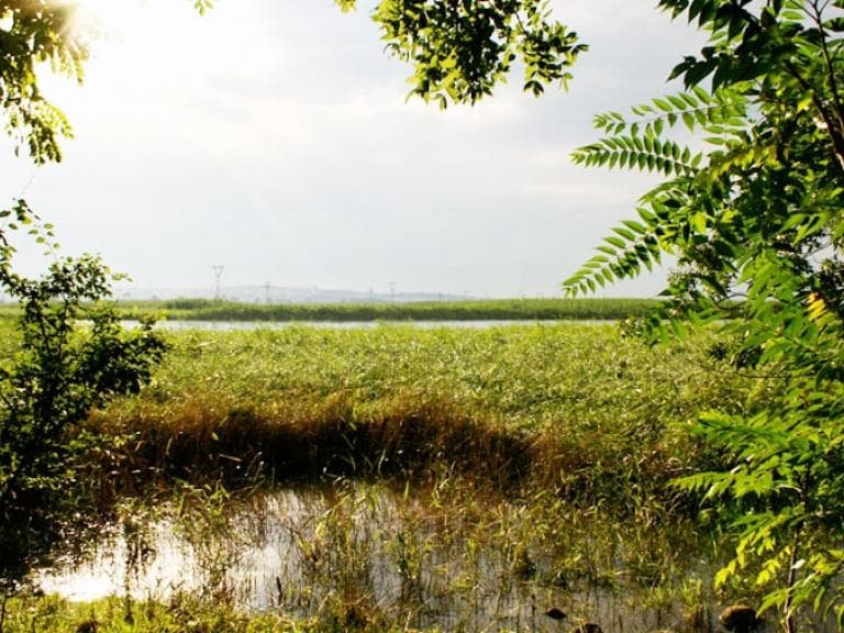 Природозащитен център „Пода“ poster